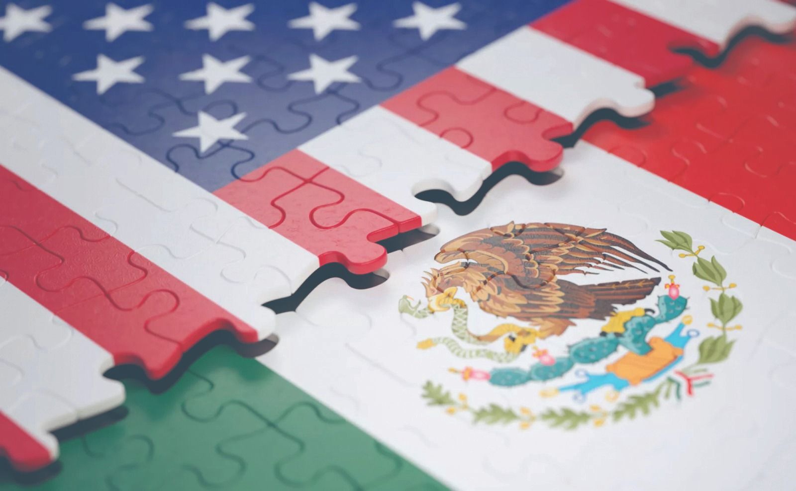 WhatsApp Image 2026-01-15 at 12.07.09 AM.jpeg