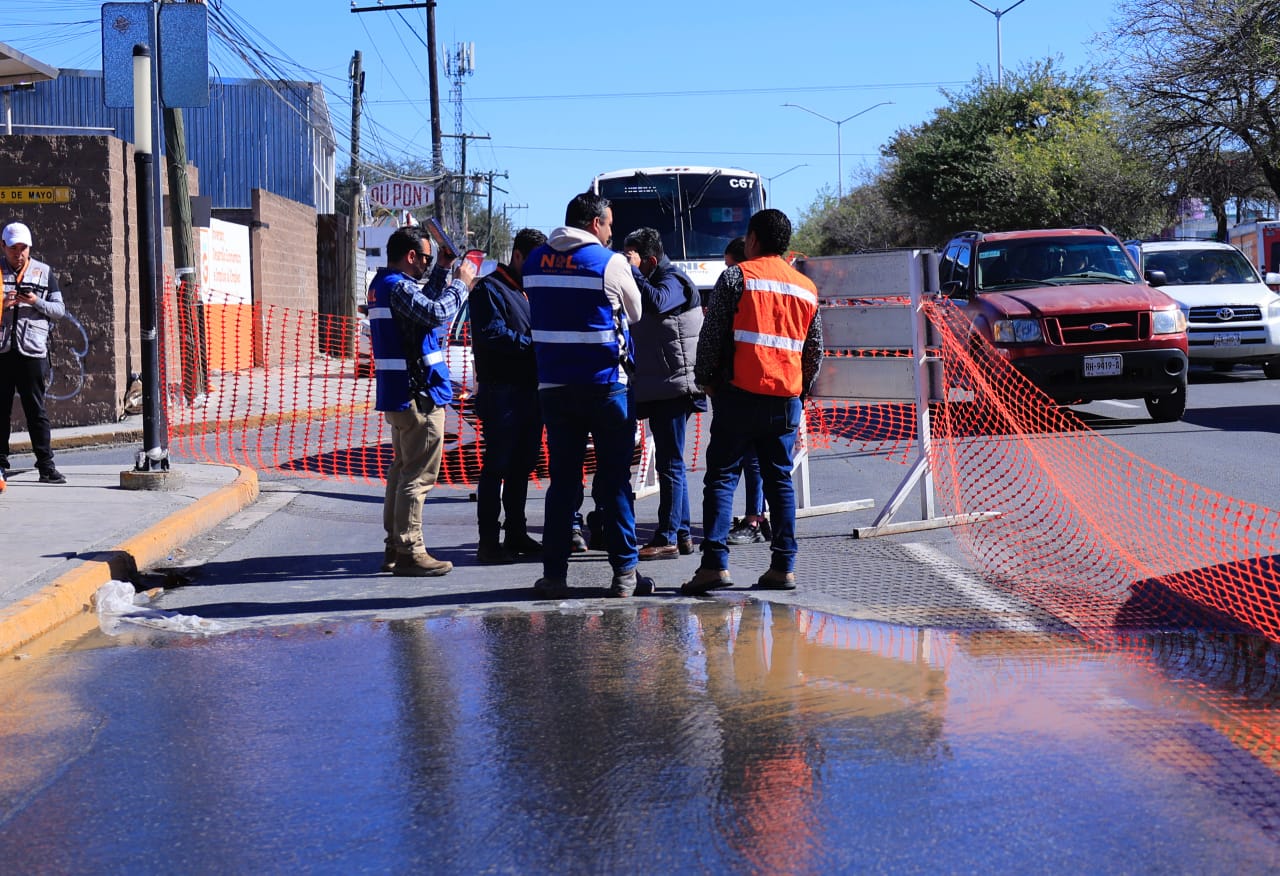 WhatsApp Image 2026-01-15 at 4.39.58 PM (3).jpeg