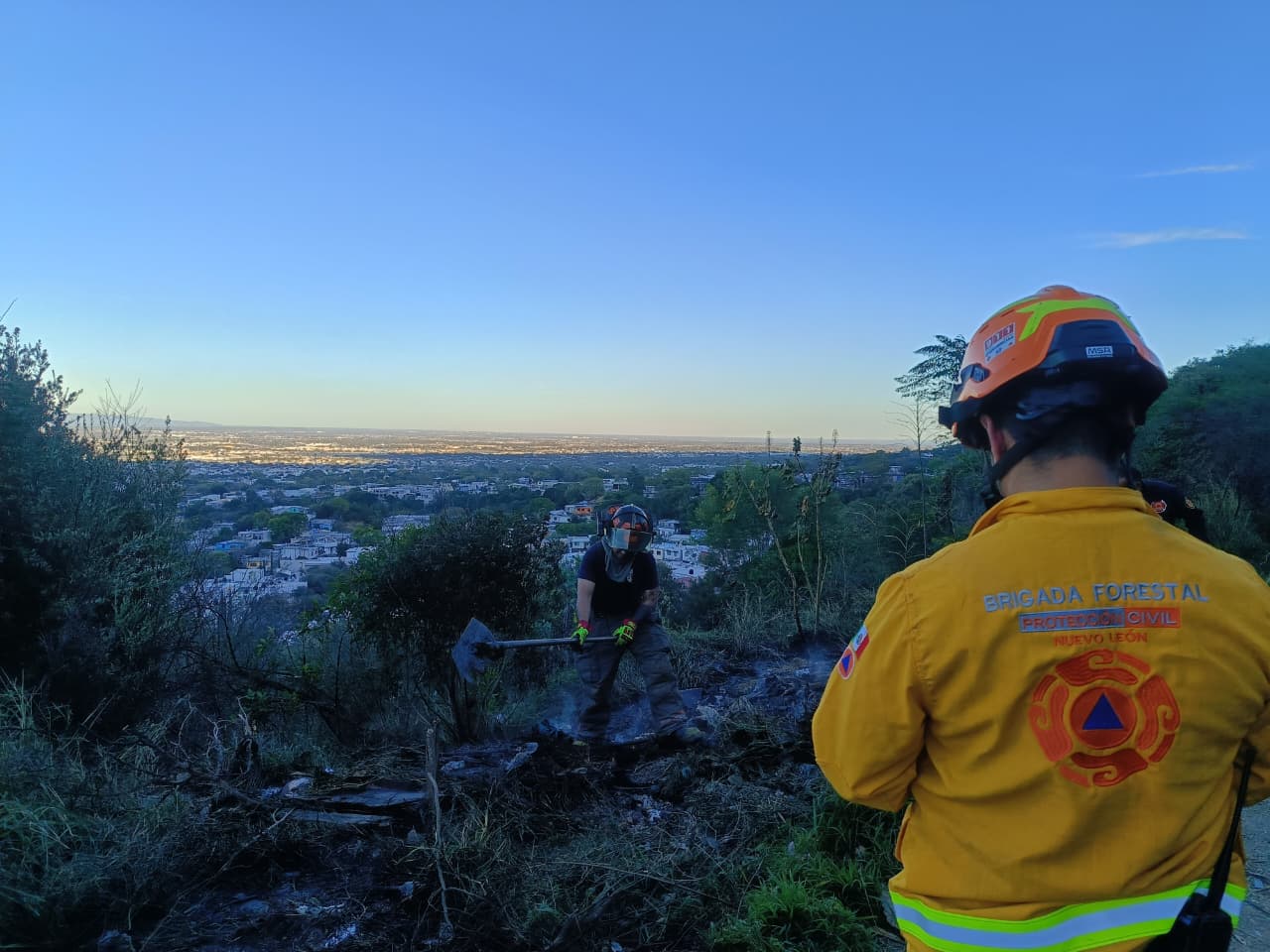 WhatsApp Image 2026-01-15 at 5.24.33 PM.jpeg