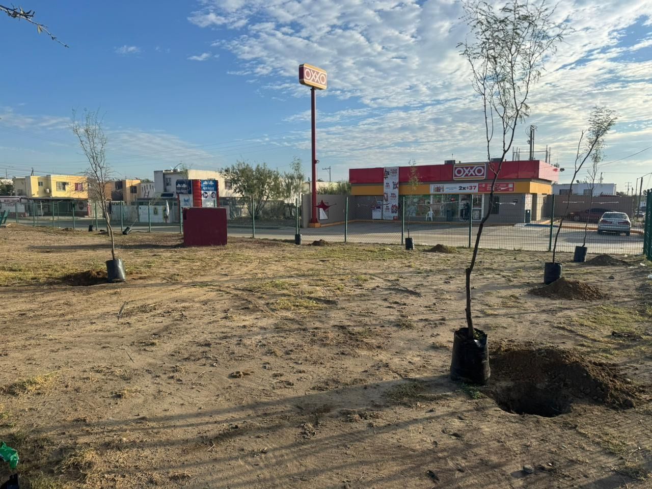 WhatsApp Image 2026-01-15 at 5.41.10 PM.jpeg