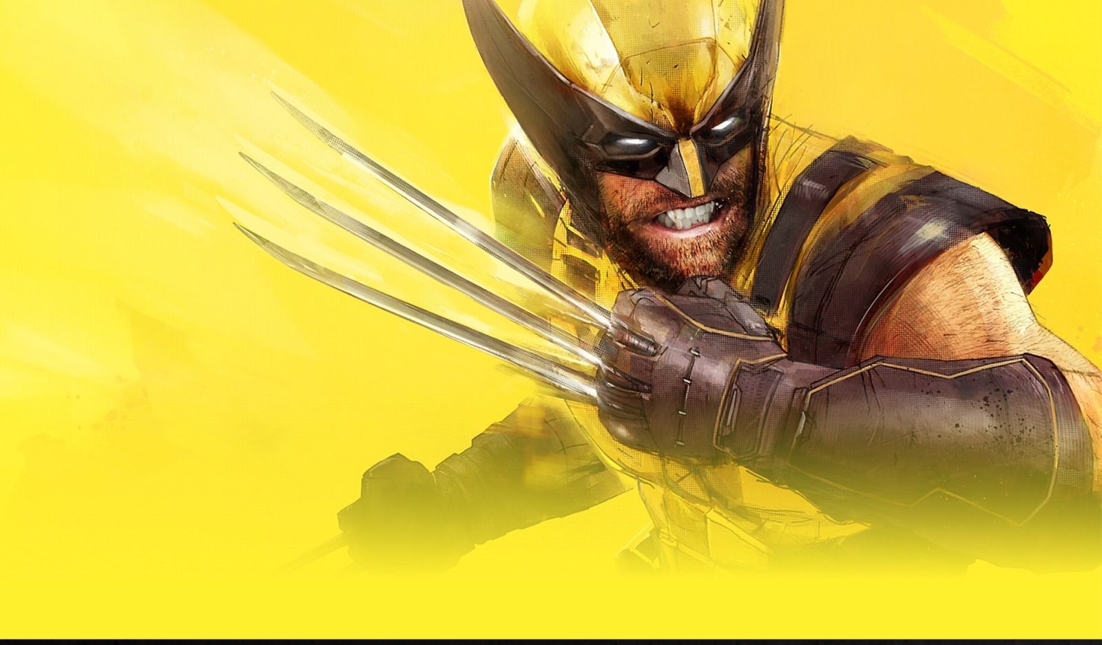 WhatsApp Image 2026-01-16 at 3.50.53 PM.jpeg