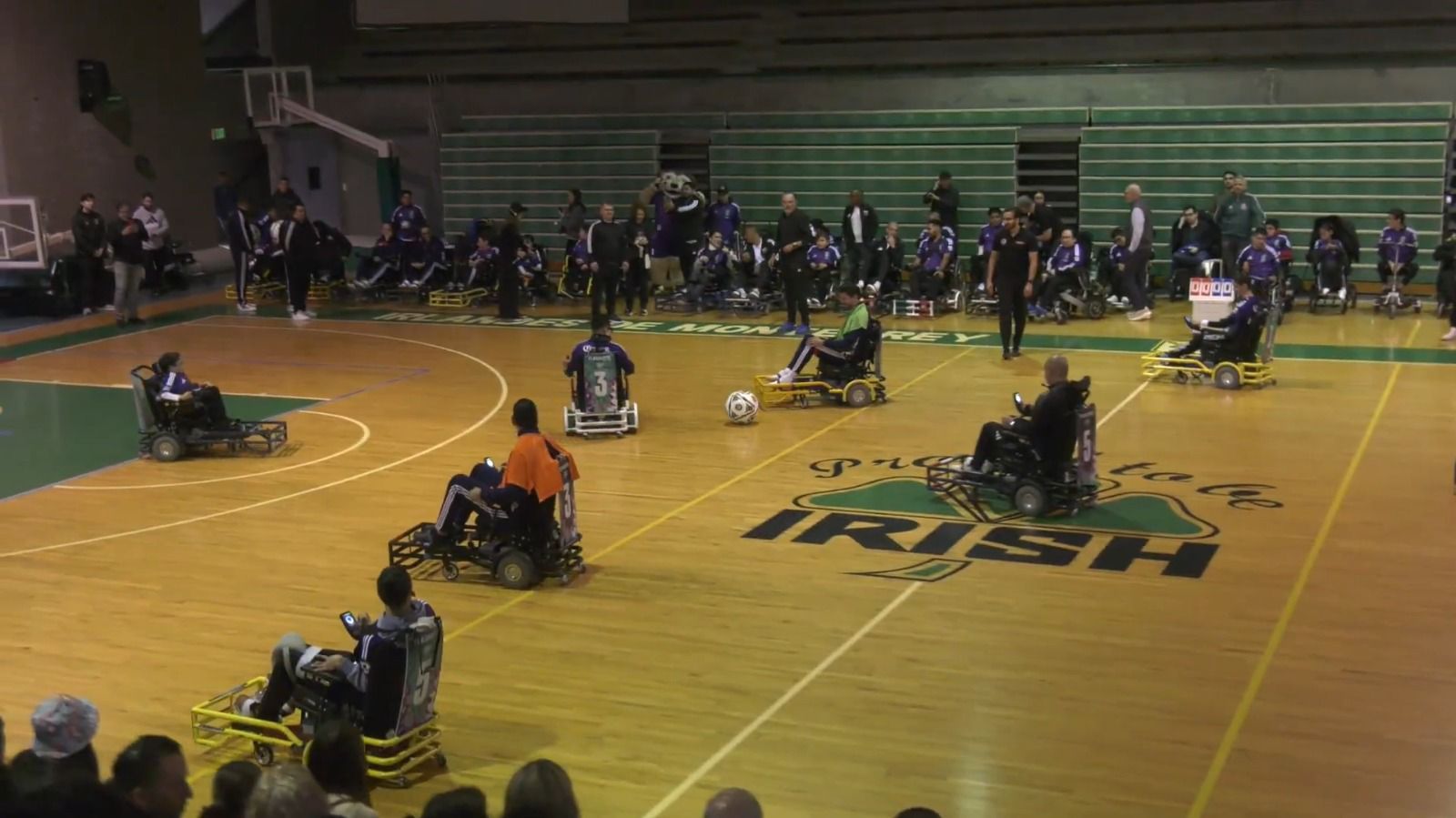 WhatsApp Image 2026-01-17 at 4.33.44 PM (3).jpeg