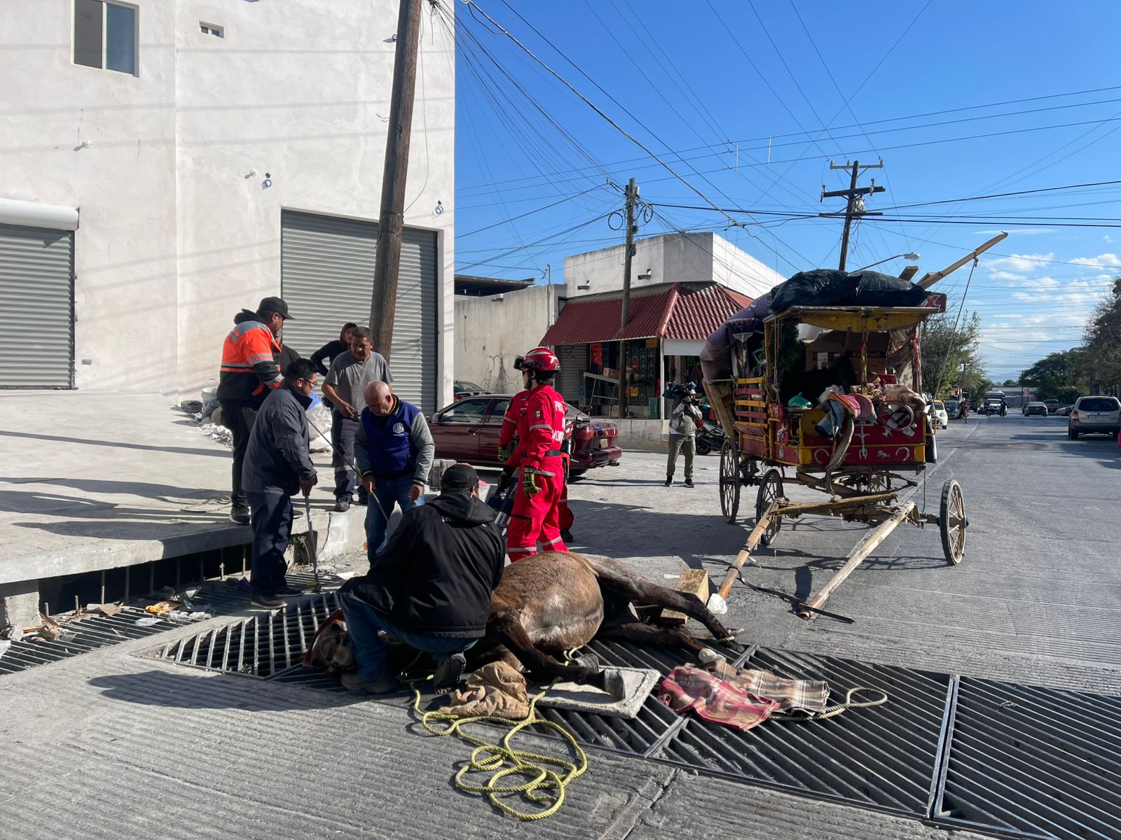 WhatsApp Image 2026-01-17 at 5.02.05 PM (1).jpeg