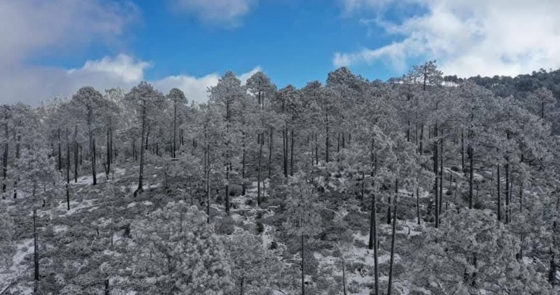 WhatsApp Image 2026-01-19 at 11.07.20 AM (1).jpeg