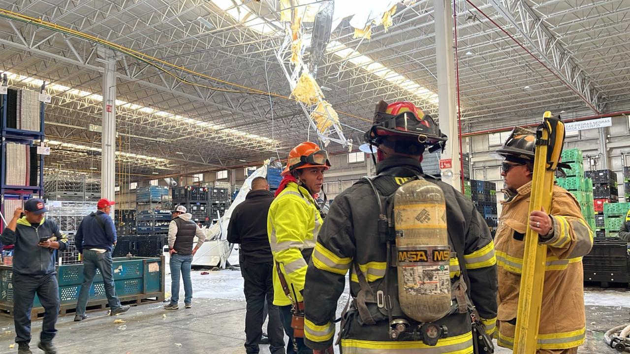 WhatsApp Image 2026-01-19 at 4.26.02 PM.jpeg