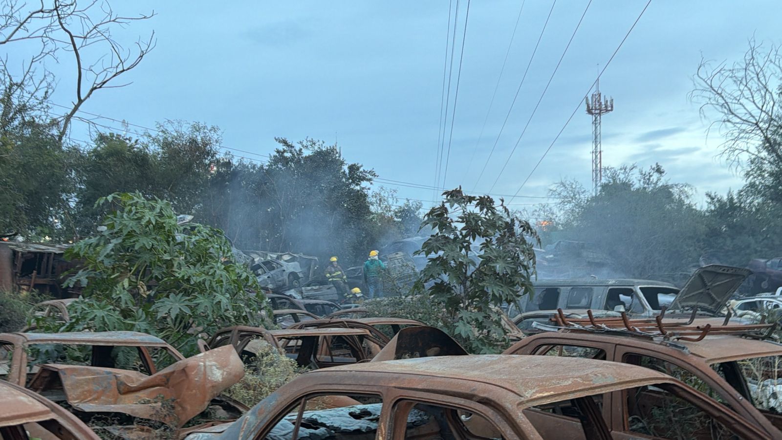 WhatsApp Image 2026-01-19 at 6.38.00 PM (2).jpeg