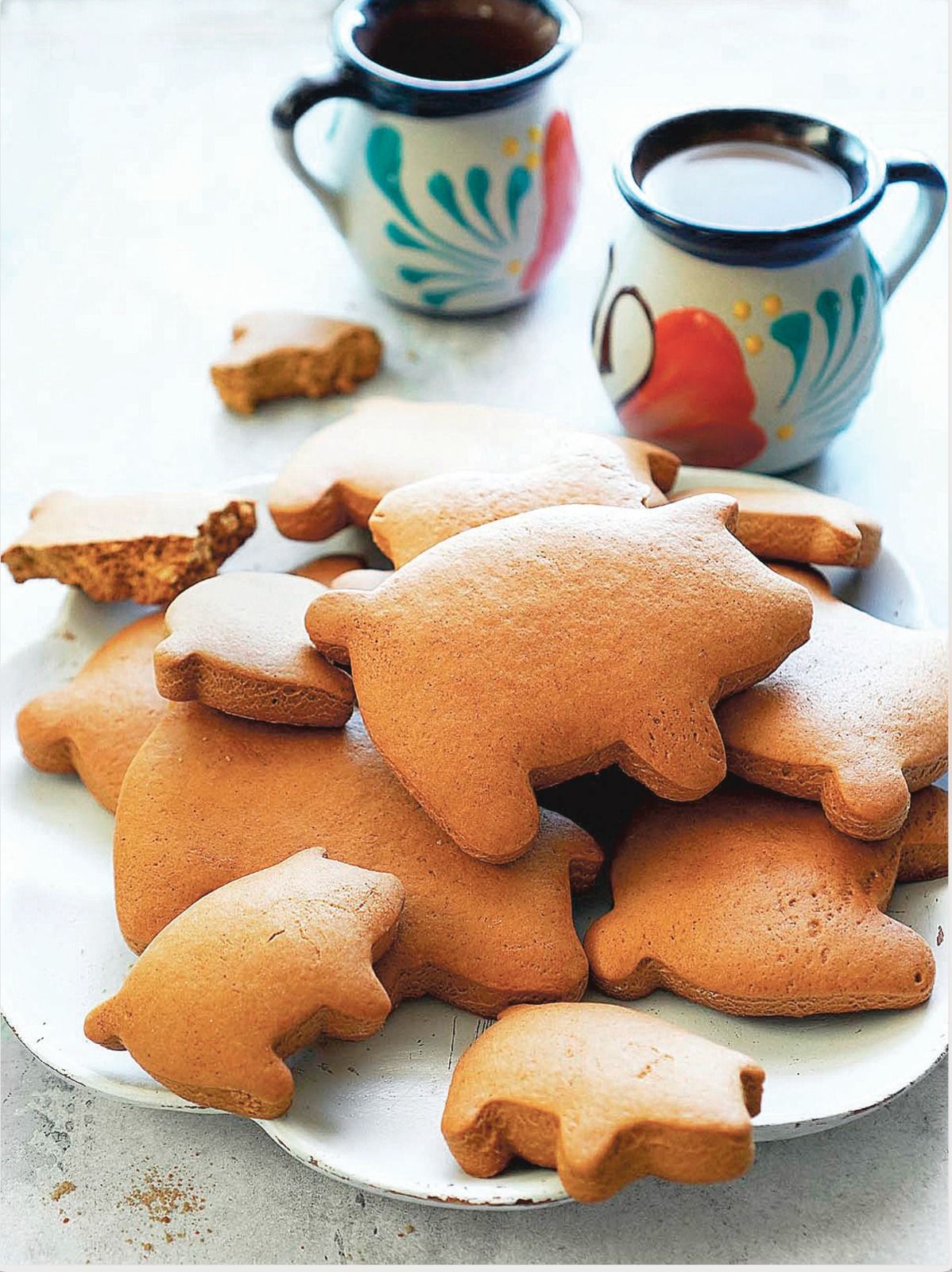 WhatsApp Image 2026-01-20 at 2.05.51 PM.jpeg