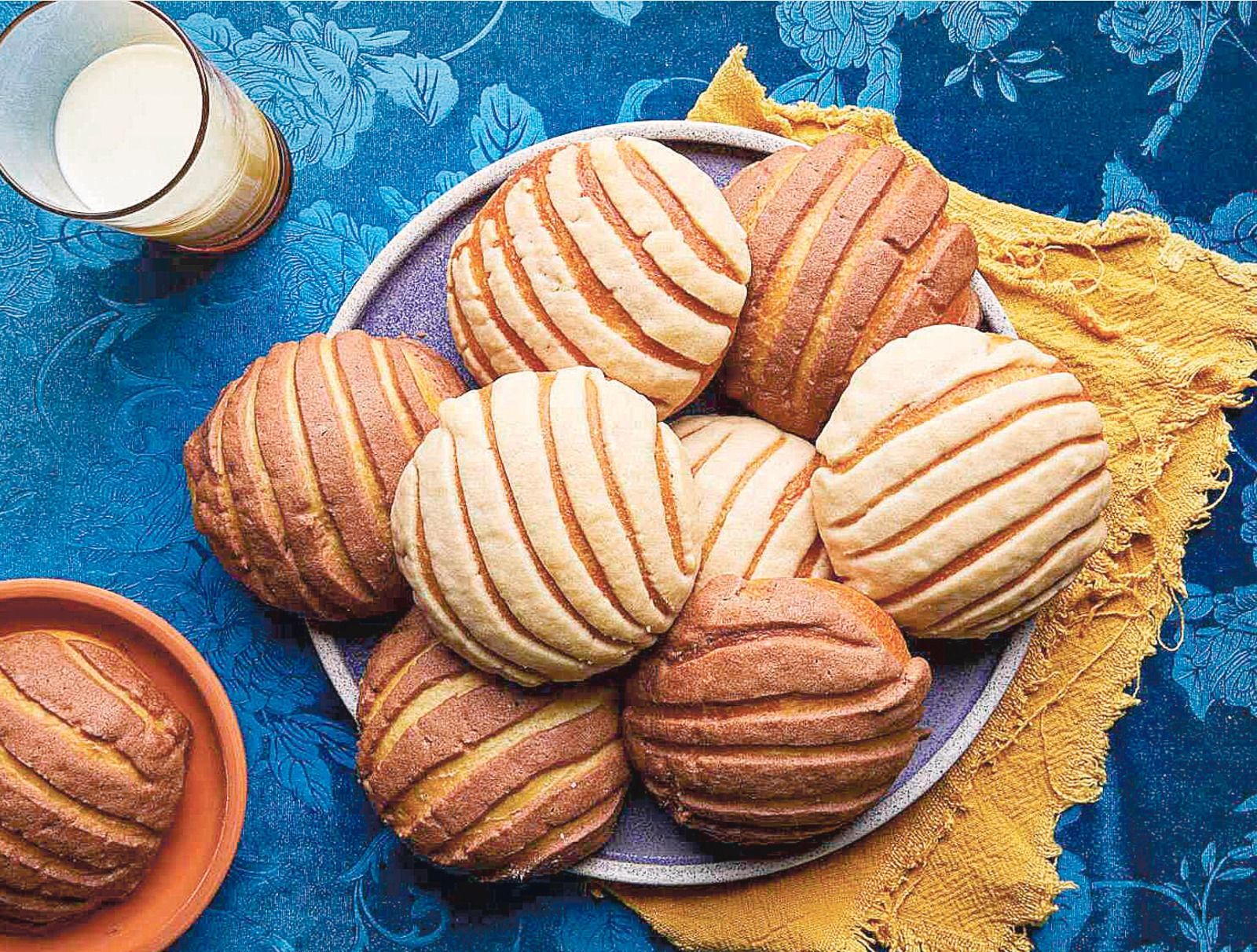 WhatsApp Image 2026-01-20 at 2.06.21 PM.jpeg