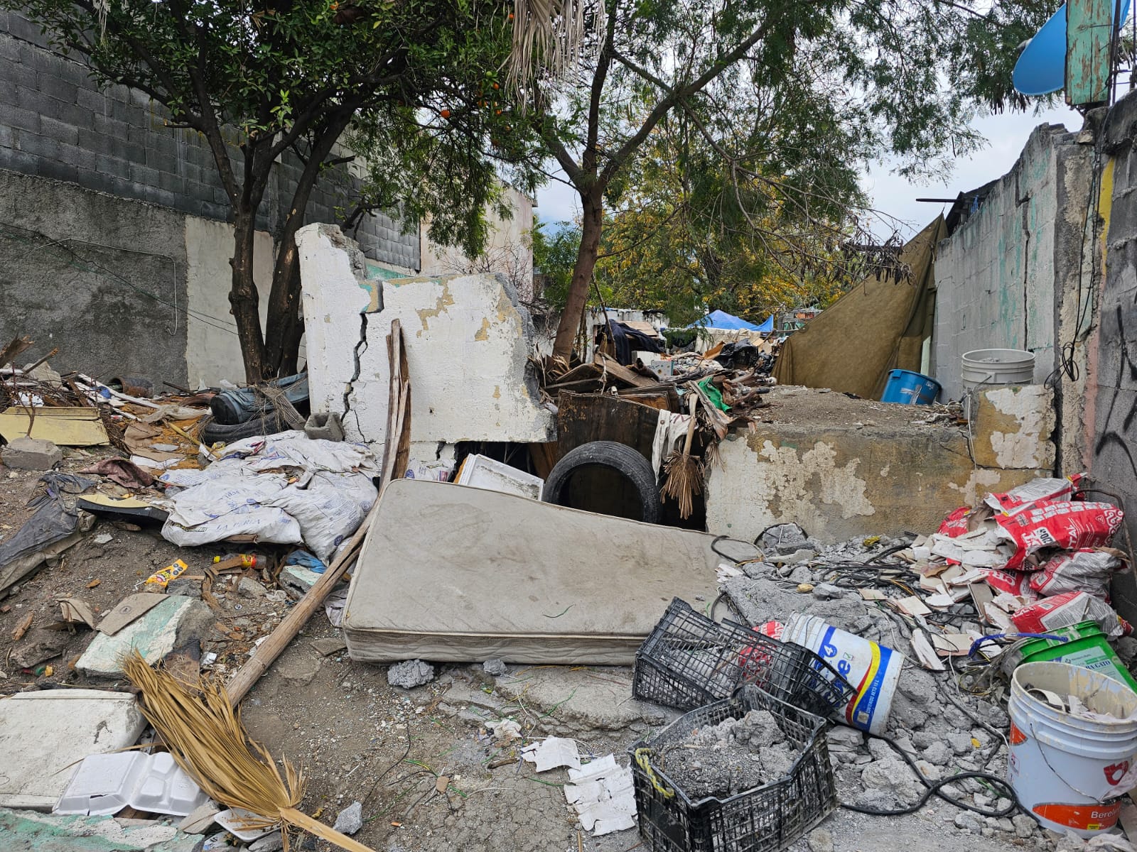 WhatsApp Image 2026-01-20 at 2.27.44 PM.jpeg