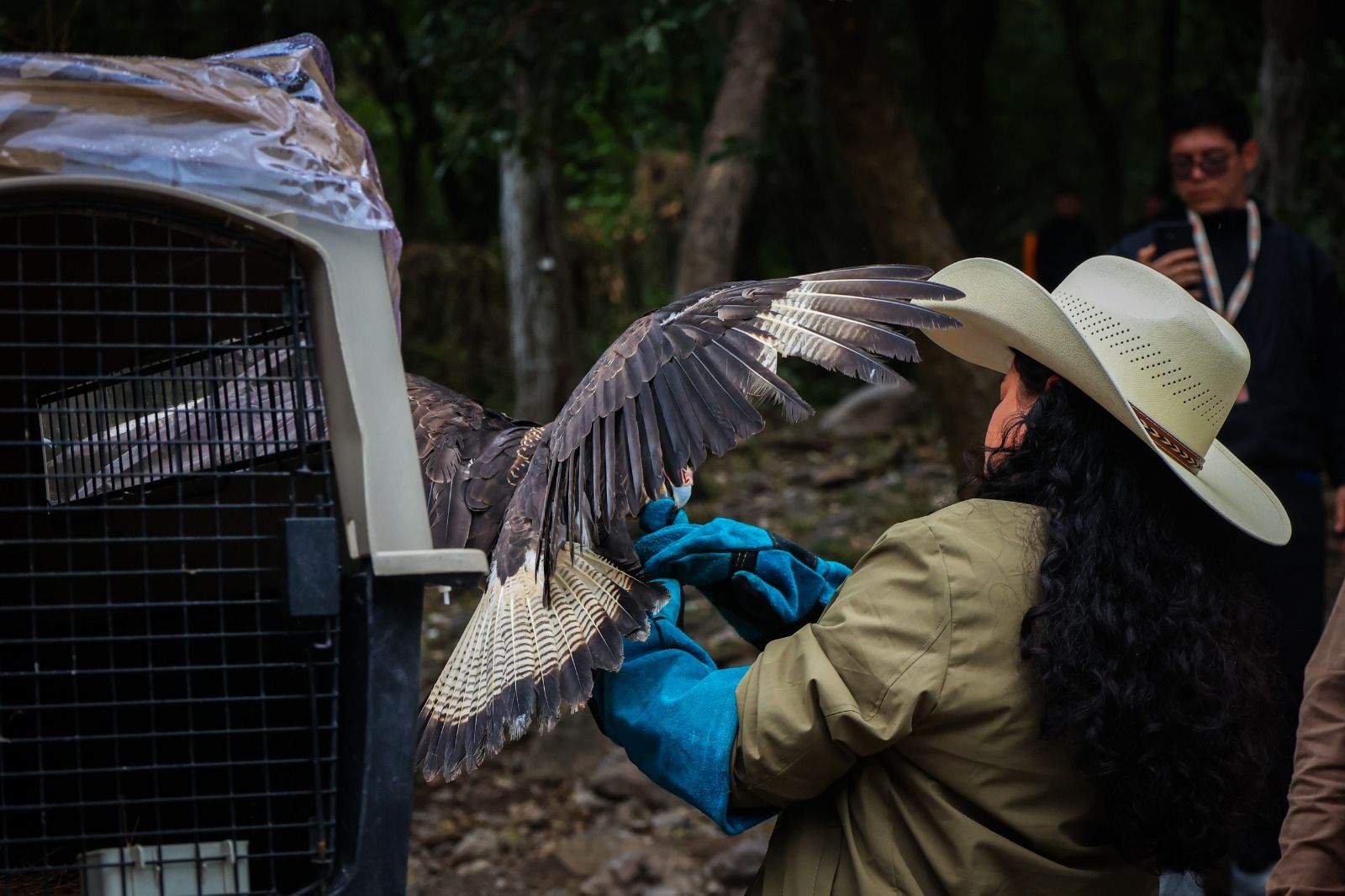 WhatsApp Image 2026-01-20 at 9.04.00 PM.jpeg