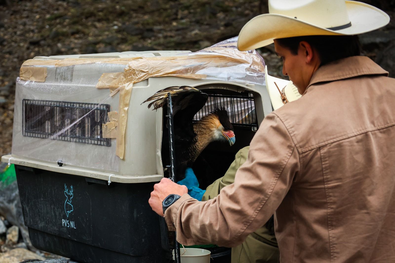 WhatsApp Image 2026-01-20 at 9.04.11 PM.jpeg