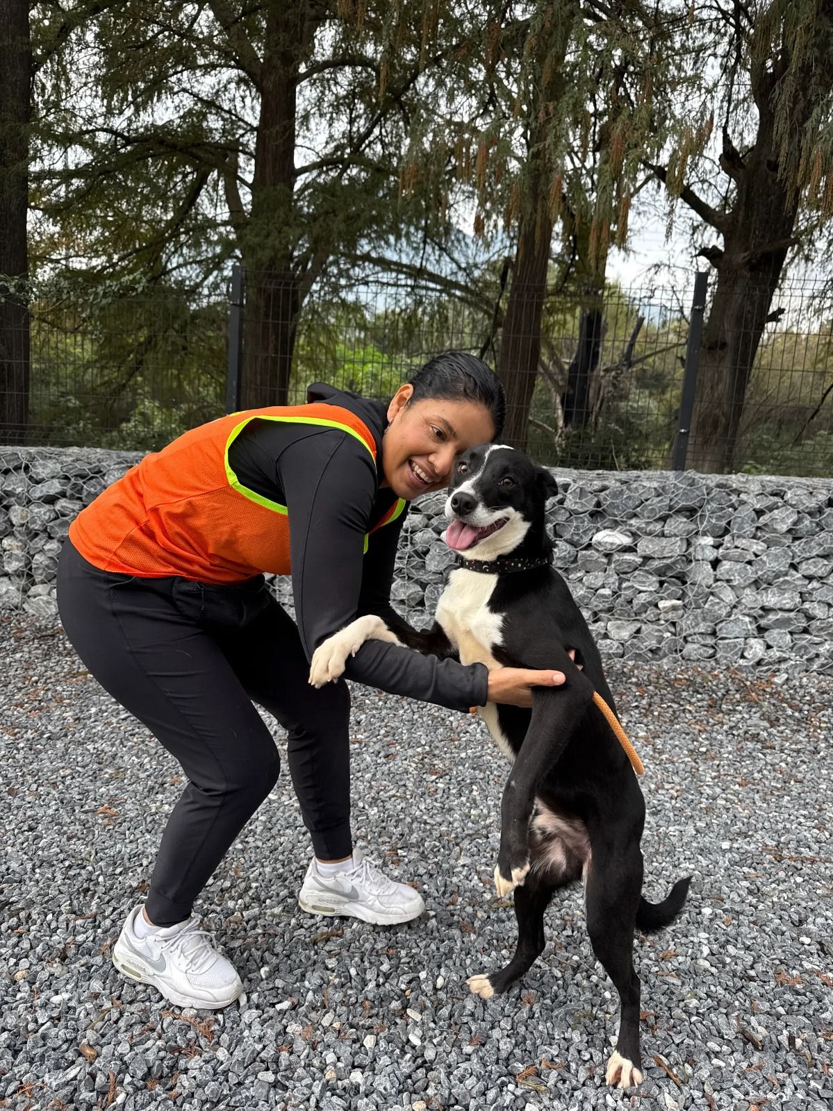 WhatsApp Image 2026-01-21 at 9.27.47 PM.jpeg