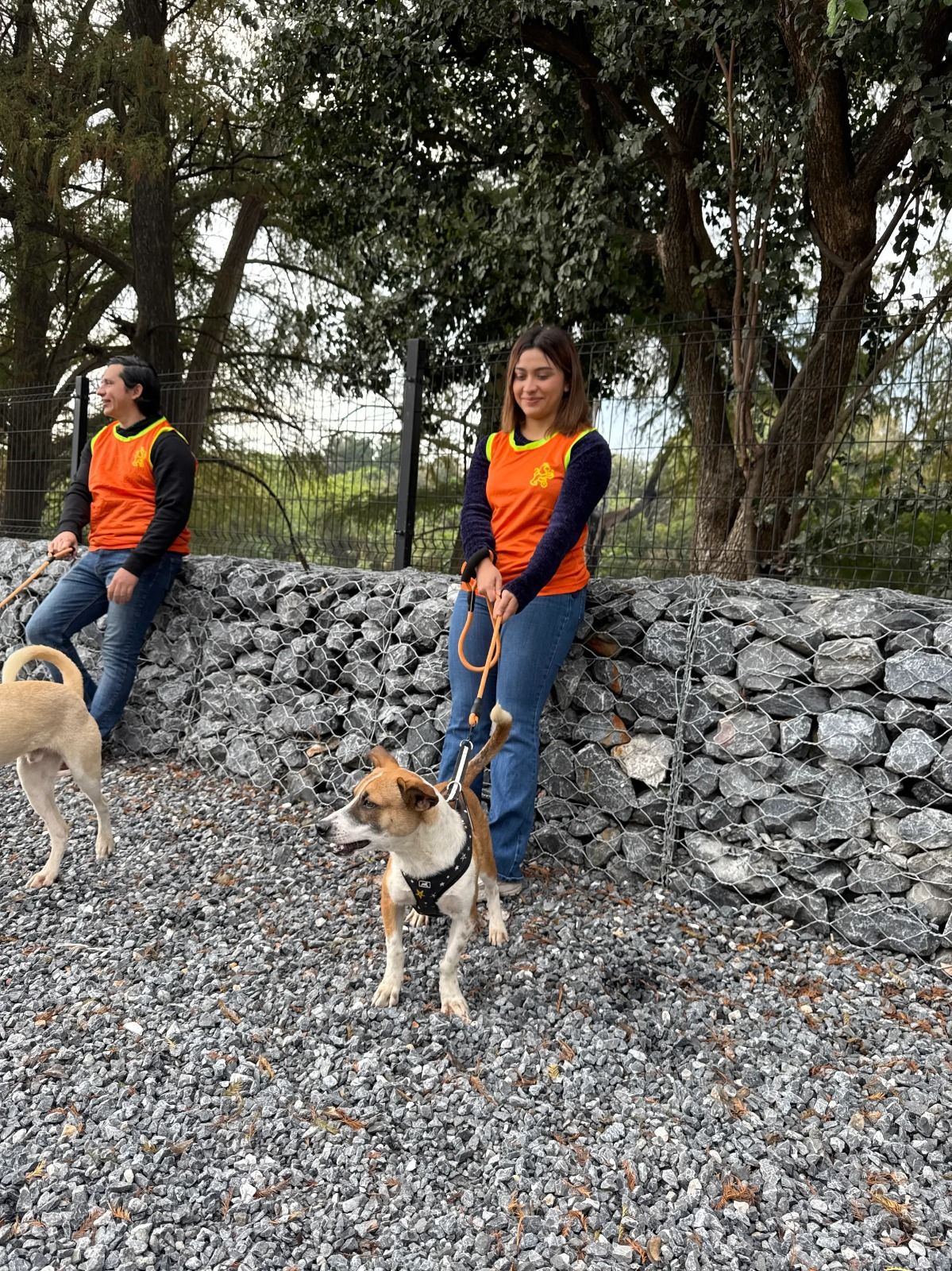 WhatsApp Image 2026-01-21 at 9.27.58 PM.jpeg