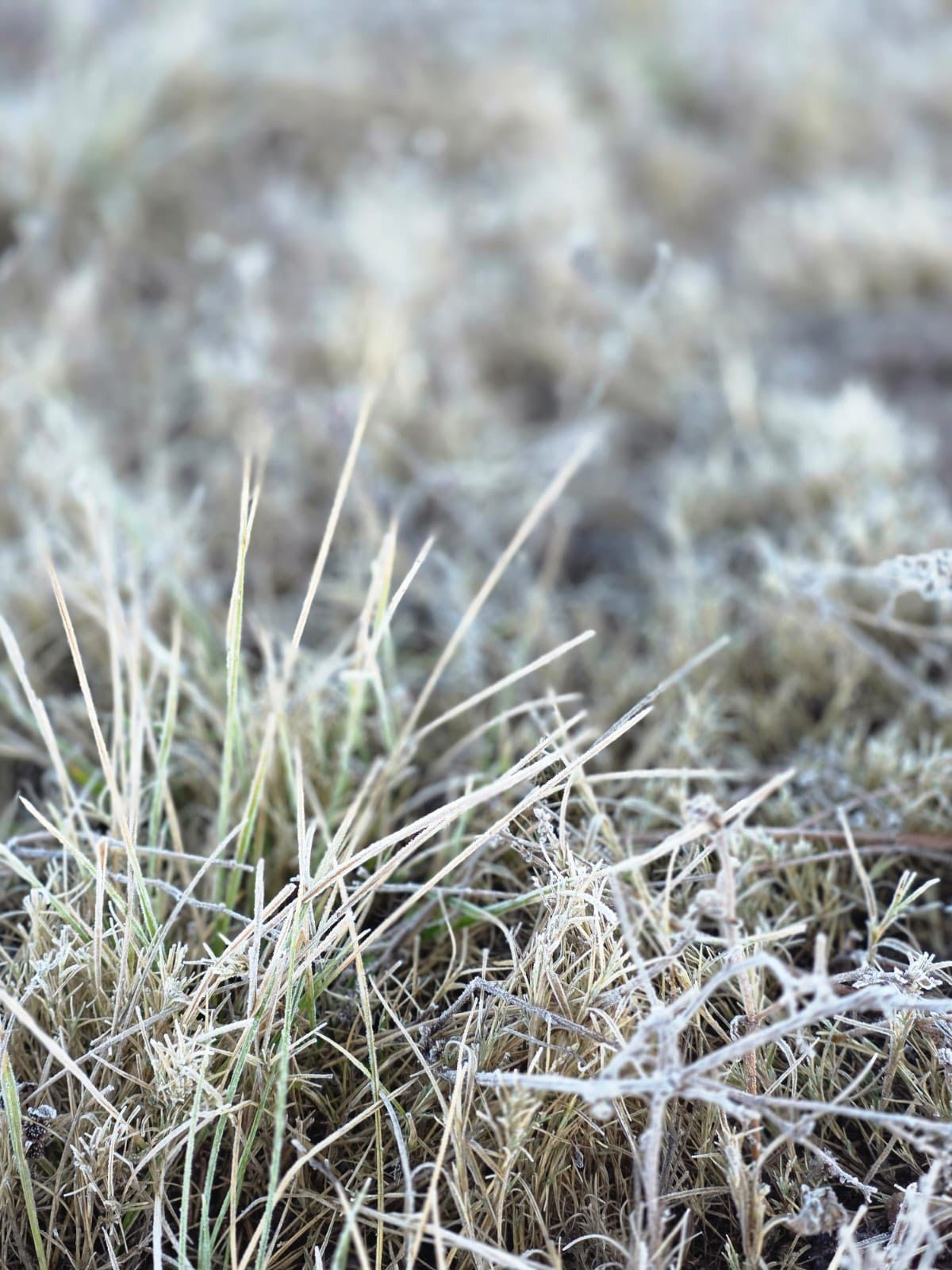 WhatsApp Image 2026-01-22 at 2.18.37 PM.jpeg