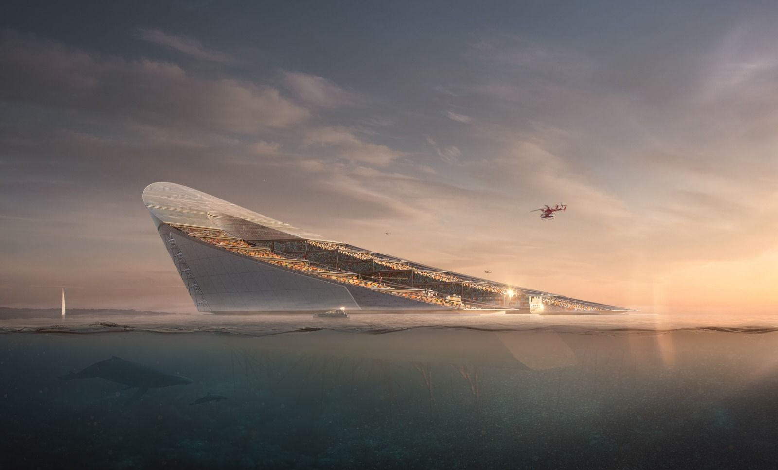 WhatsApp Image 2026-01-23 at 2.22.07 PM.jpeg