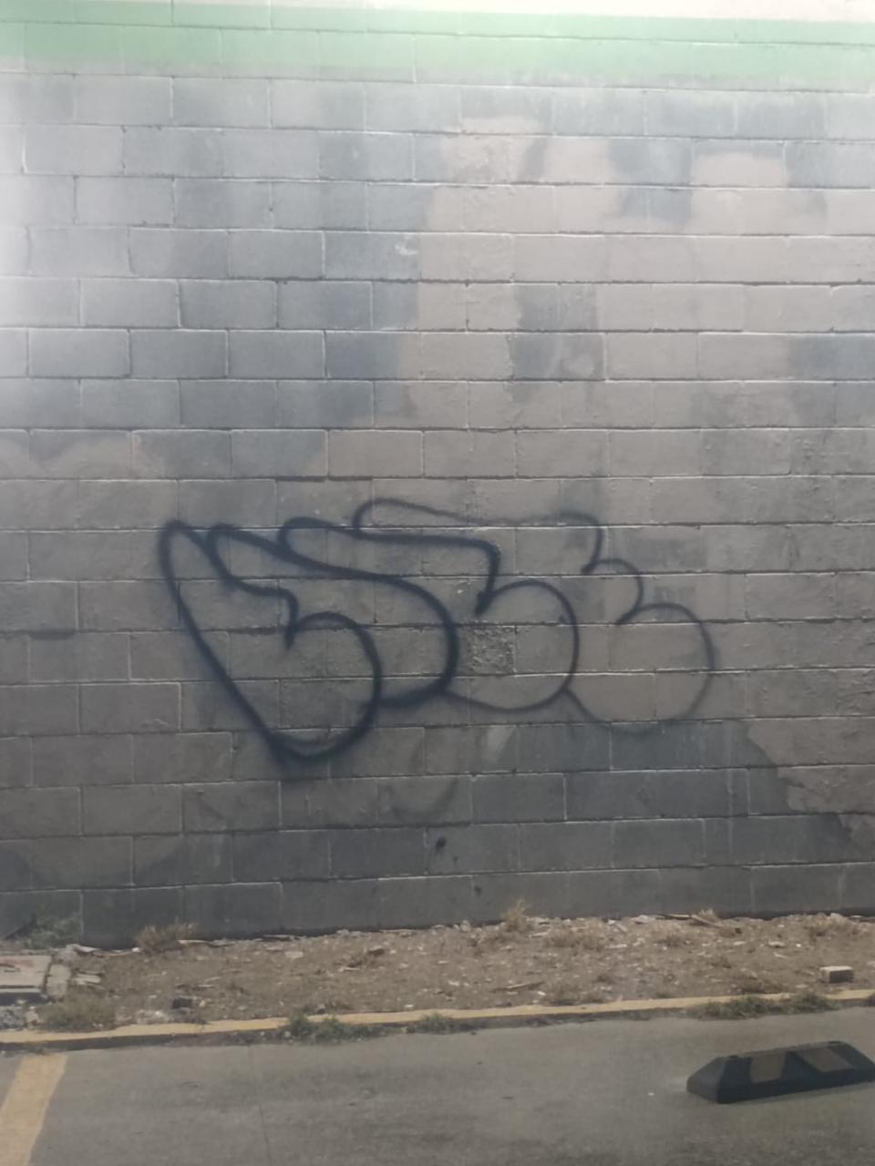 WhatsApp Image 2026-01-24 at 7.05.23 AM (1).jpeg