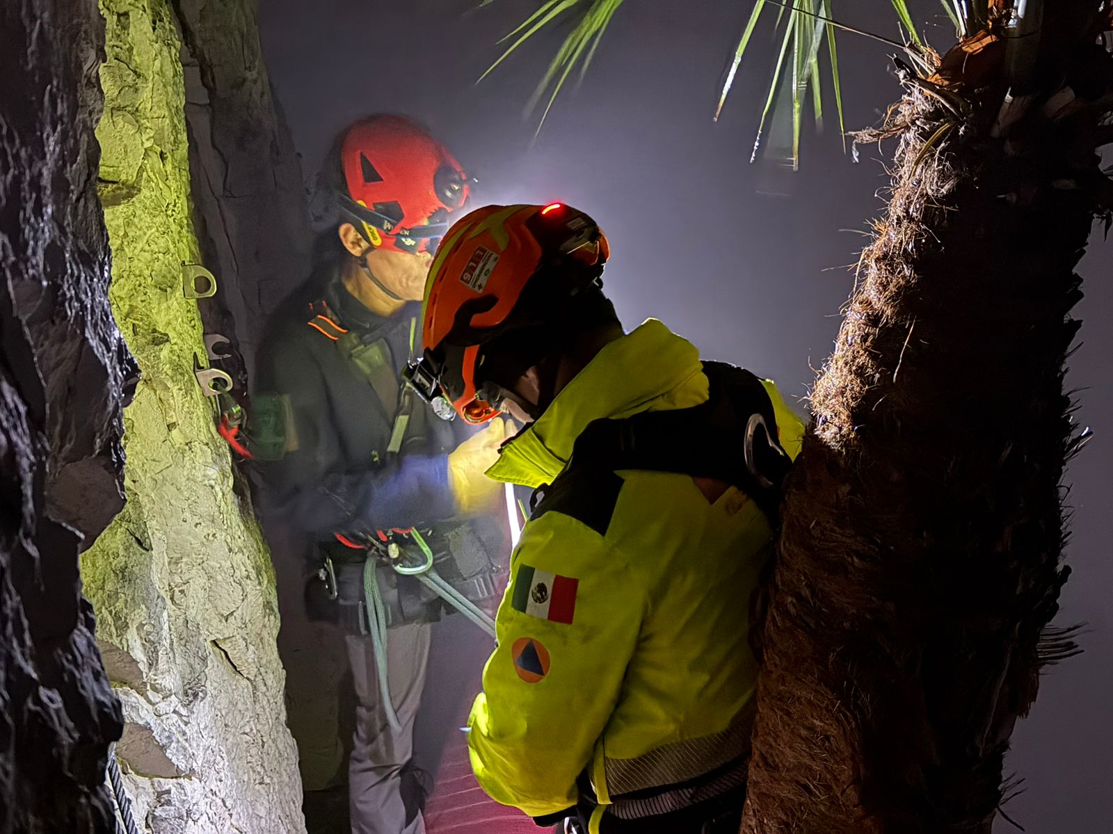 WhatsApp Image 2026-01-25 at 8.16.02 AM.jpeg