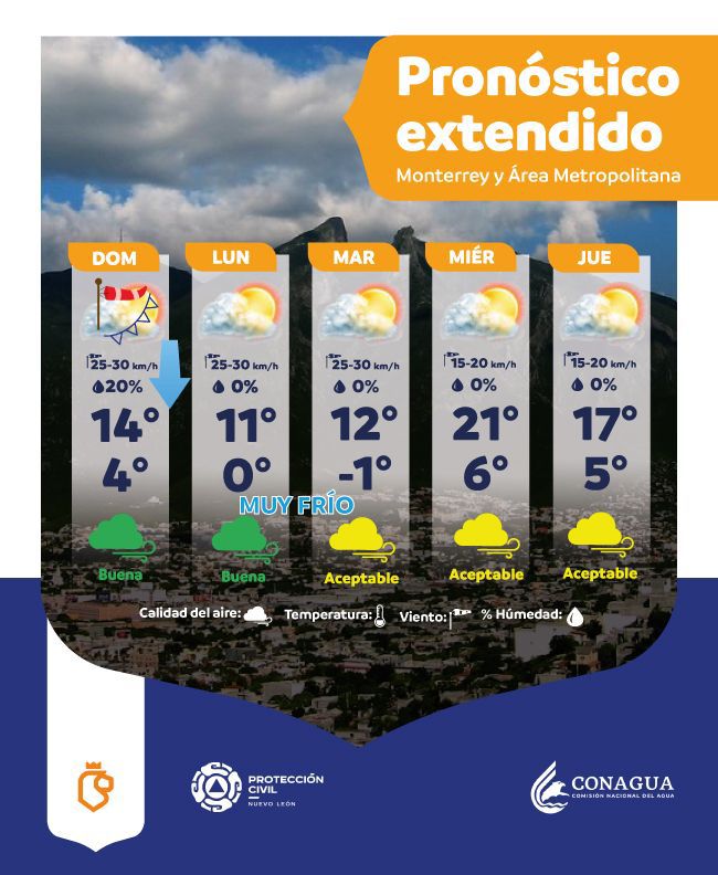 WhatsApp Image 2026-01-25 at 8.17.51 AM.jpeg