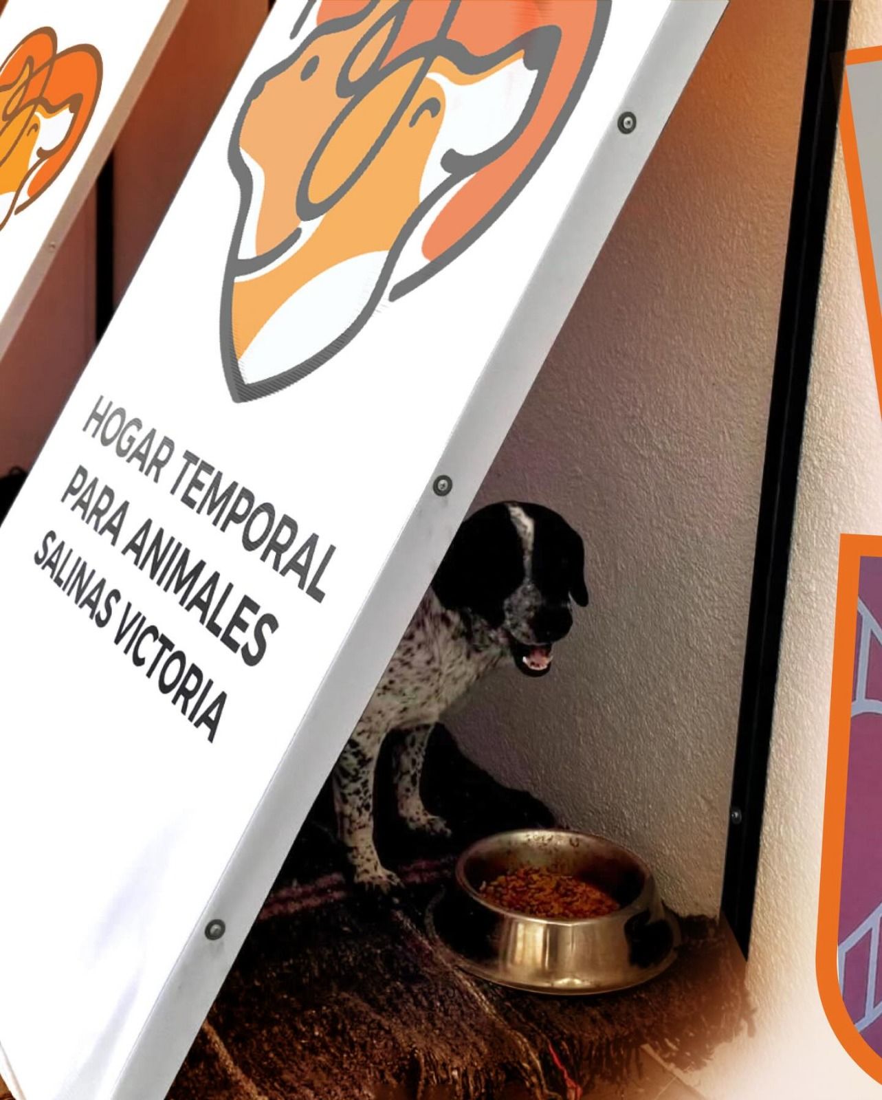 WhatsApp Image 2026-01-26 at 6.18.41 PM.jpeg