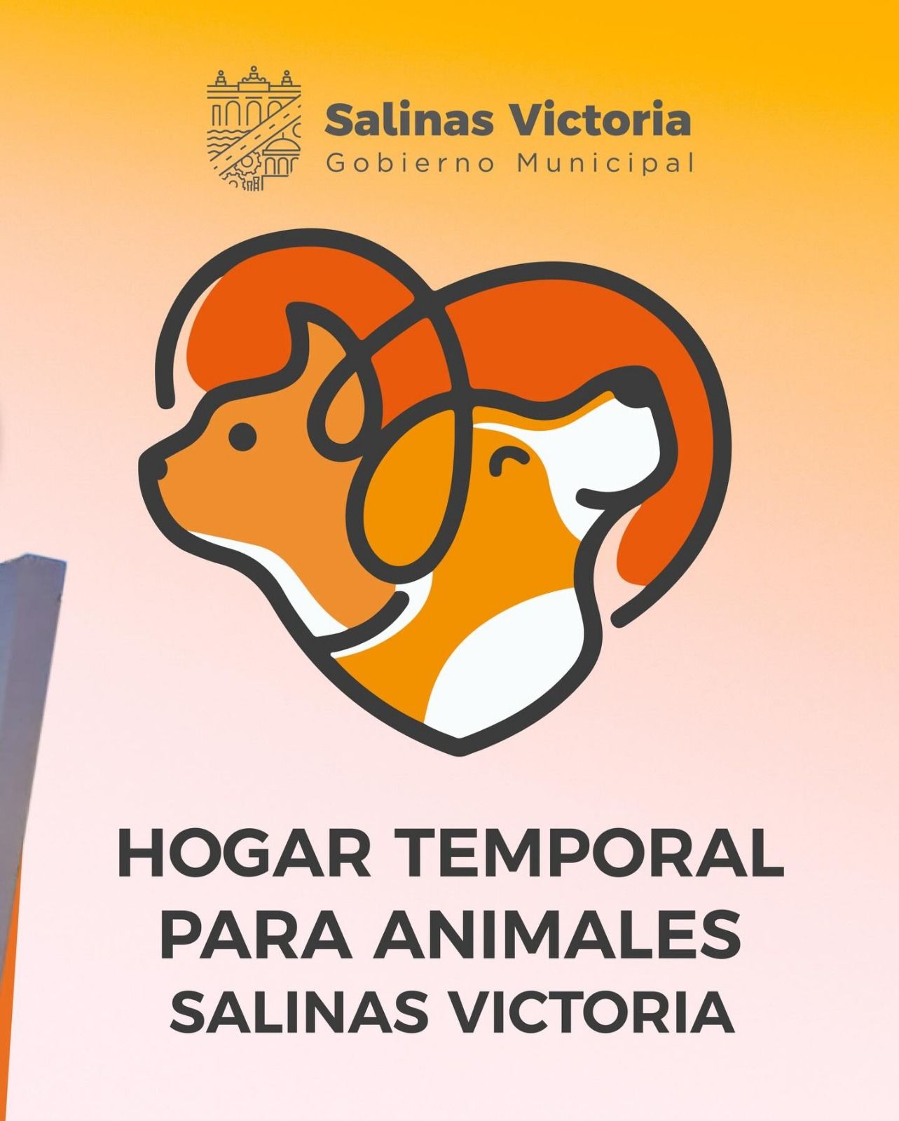 WhatsApp Image 2026-01-26 at 6.19.00 PM.jpeg