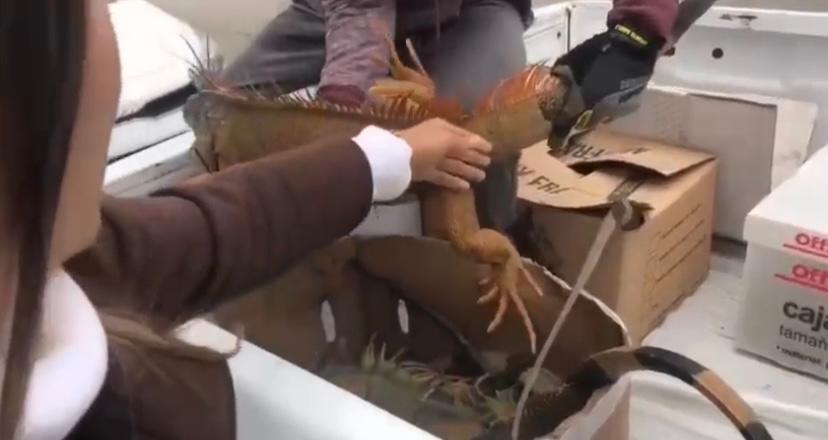 WhatsApp Image 2026-01-26 at 8.10.23 PM (1).jpeg