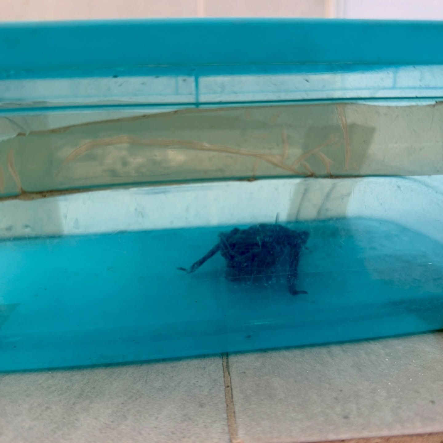 WhatsApp Image 2026-01-27 at 3.49.16 PM.jpeg