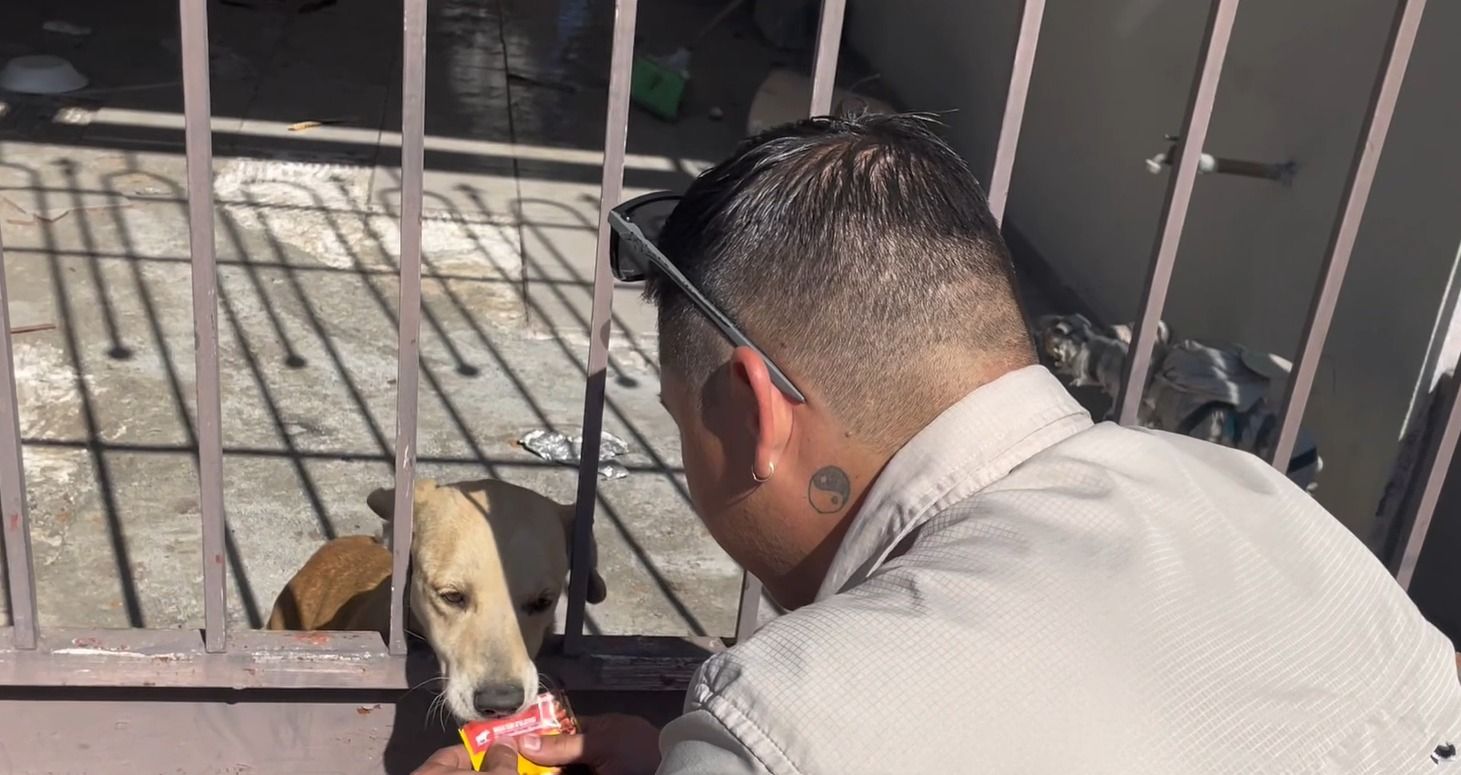 WhatsApp Image 2026-01-27 at 6.40.31 PM.jpeg