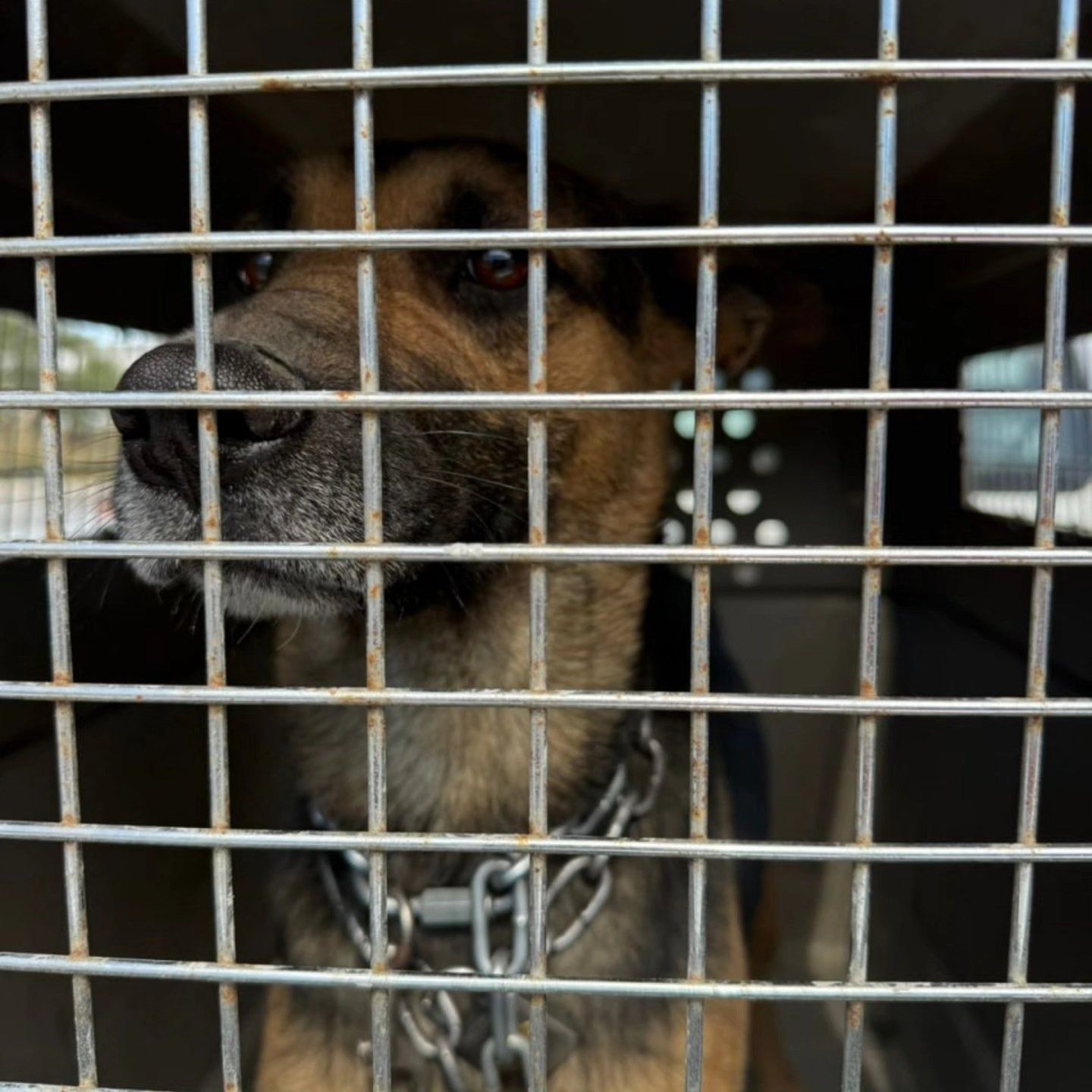 WhatsApp Image 2026-01-27 at 8.35.45 PM.jpeg