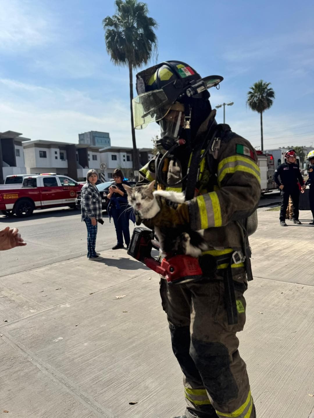 WhatsApp Image 2026-01-28 at 5.32.03 PM.jpeg