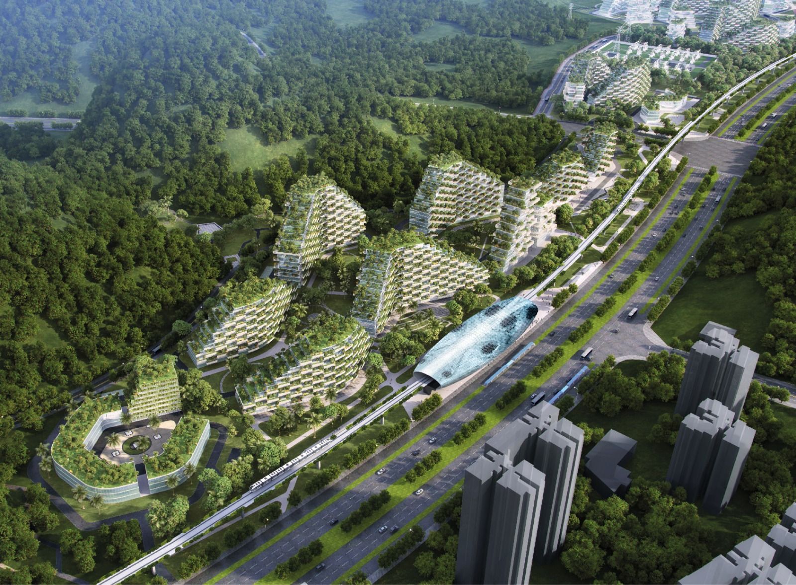 WhatsApp Image 2026-01-29 at 2.02.44 PM.jpeg