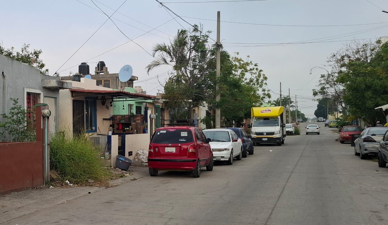 WhatsApp Image 2026-01-29 at 3.23.42 PM (2).jpeg