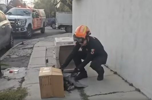 WhatsApp Image 2026-01-29 at 8.04.33 PM.jpeg