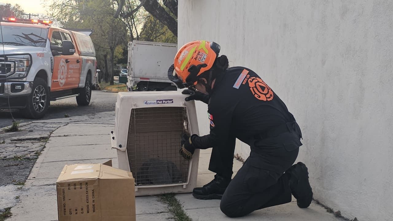 WhatsApp Image 2026-01-29 at 8.06.03 PM.jpeg