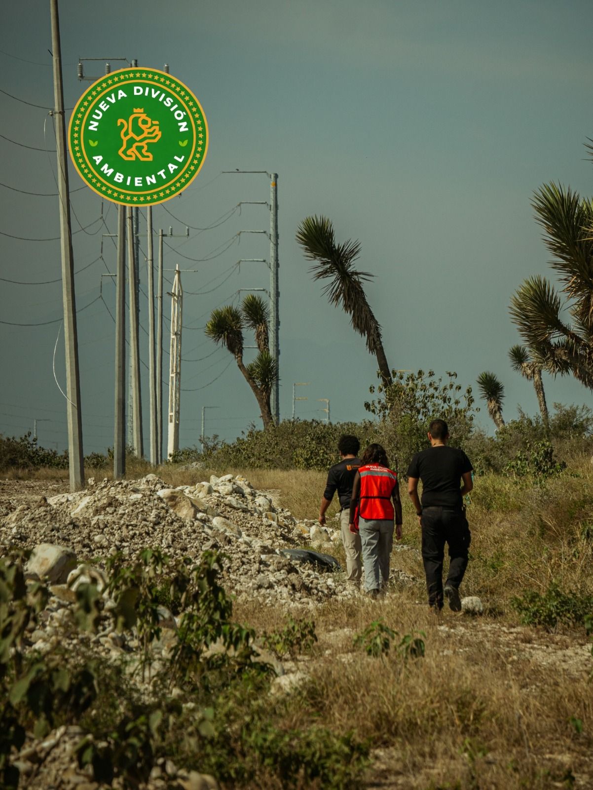 WhatsApp Image 2026-02-01 at 12.15.53 (1).jpeg