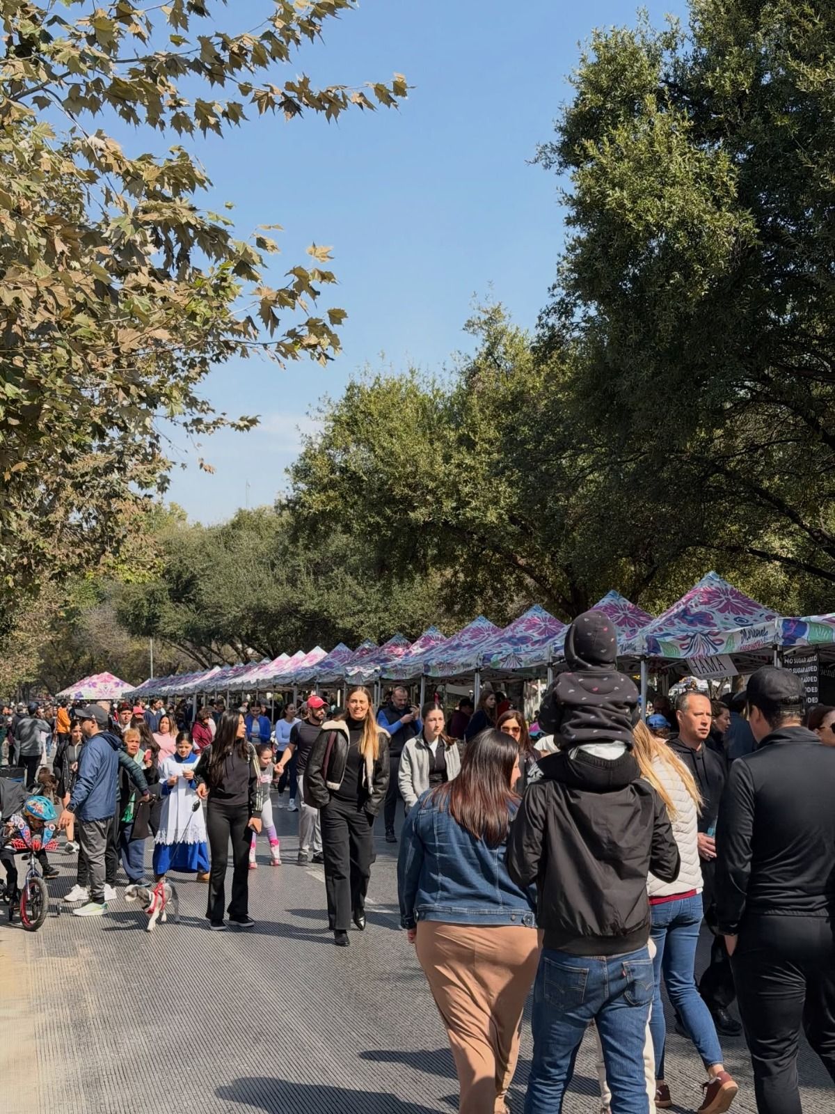 WhatsApp Image 2026-02-01 at 4.19.43 PM.jpeg