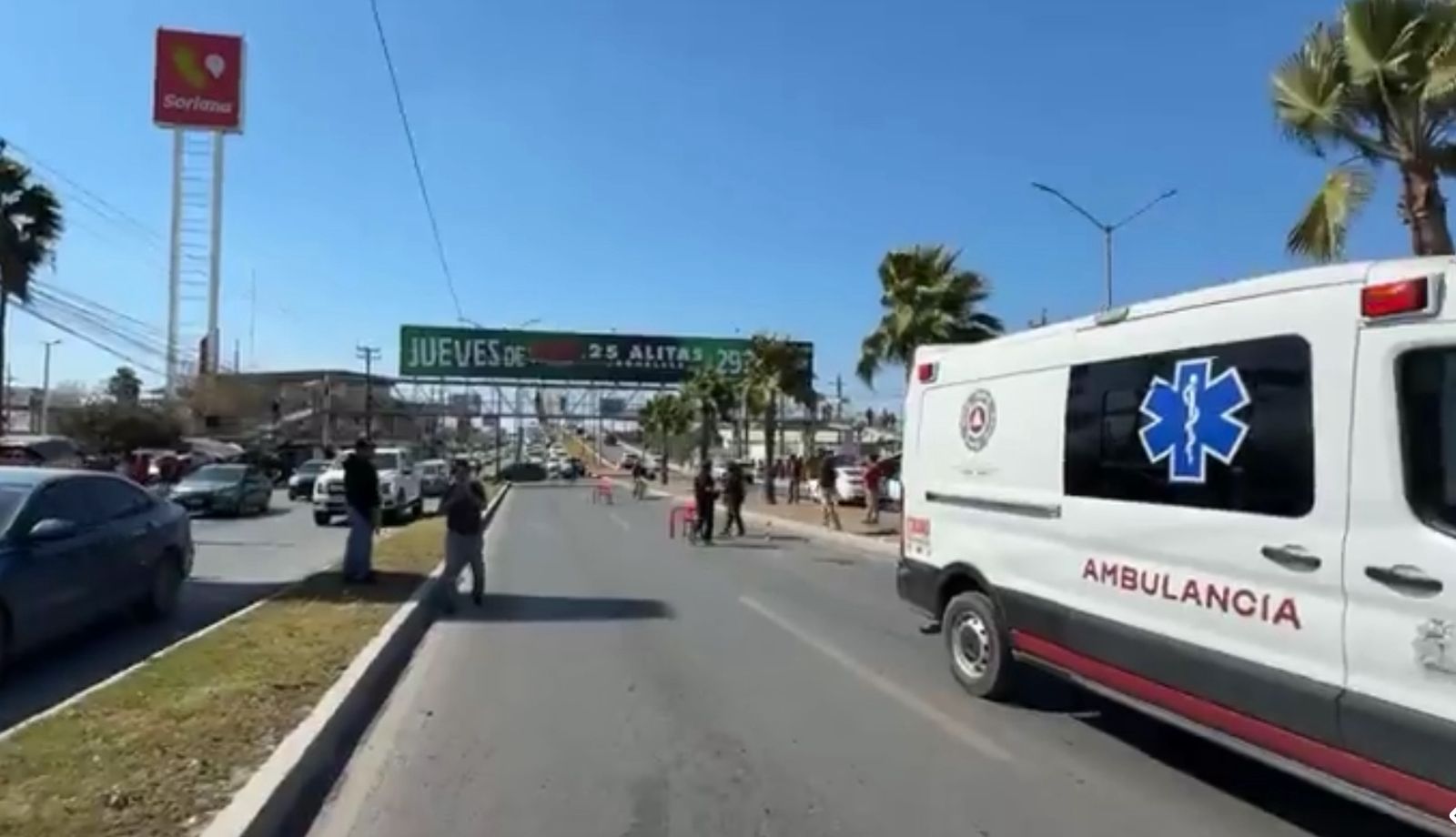 WhatsApp Image 2026-02-03 at 15.06.35.jpeg