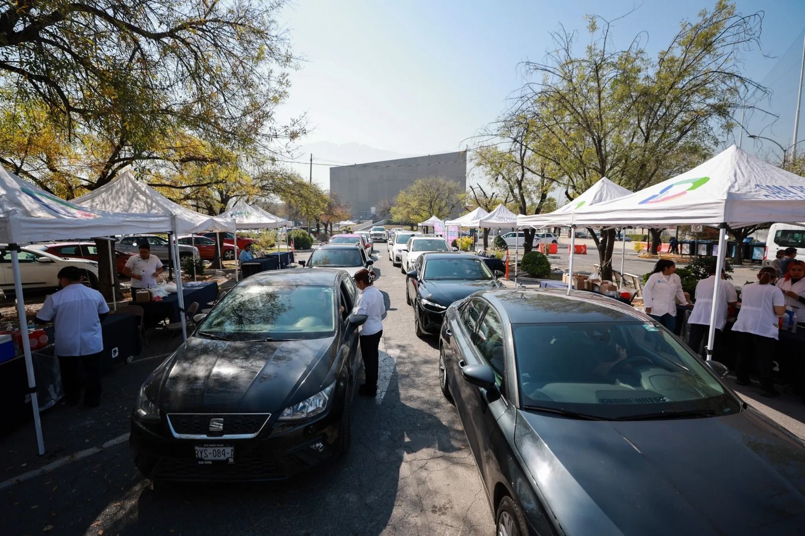 WhatsApp Image 2026-02-03 at 16.15.39.jpeg