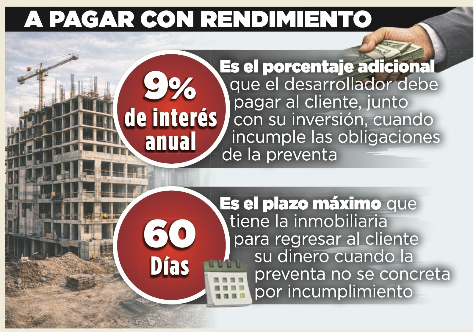 WhatsApp Image 2026-02-03 at 1.18.59 AM.jpeg