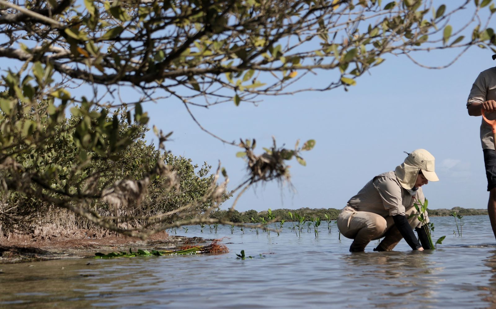 WhatsApp Image 2026-02-03 at 1.33.08 AM (1).jpeg