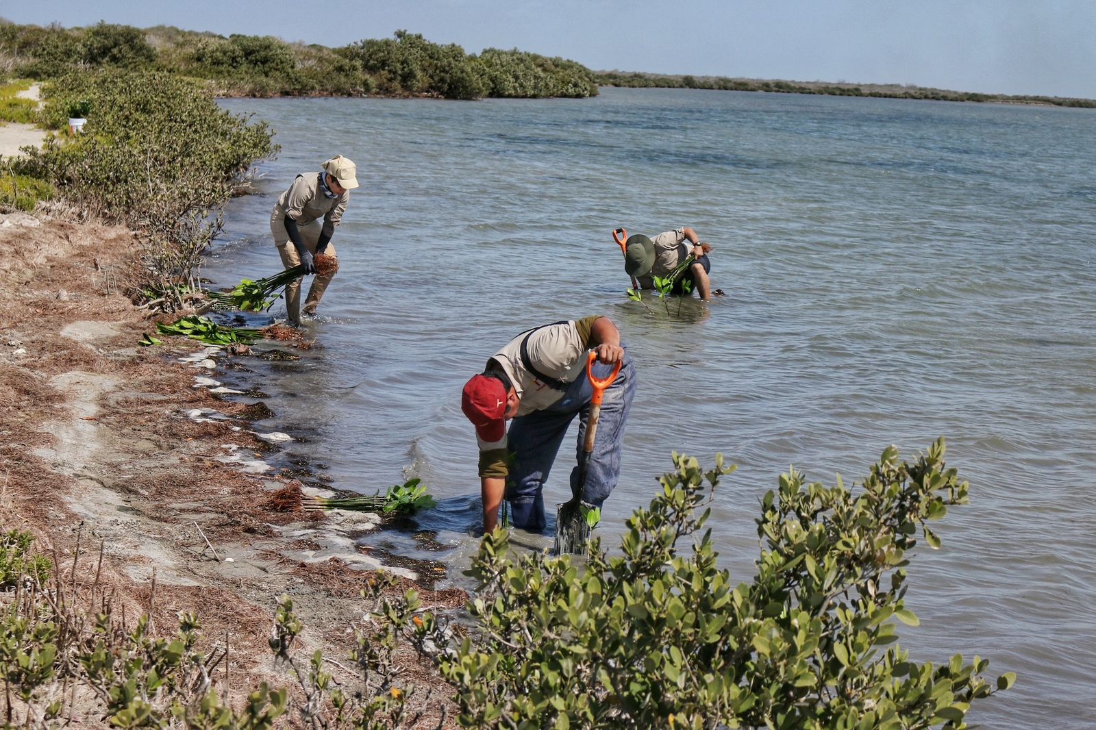 WhatsApp Image 2026-02-03 at 1.33.08 AM.jpeg