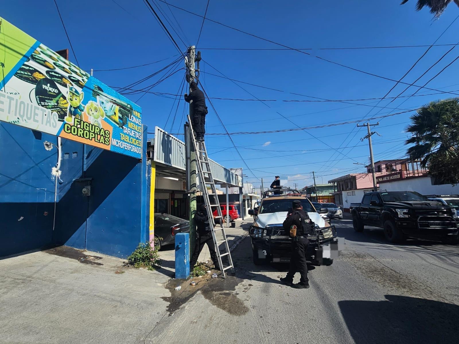 WhatsApp Image 2026-02-04 at 12.56.36 (1).jpeg