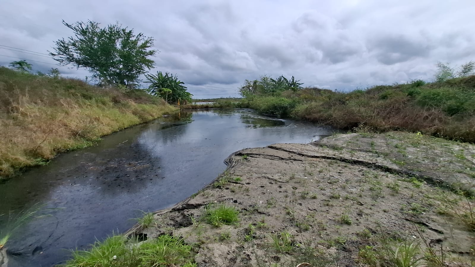 WhatsApp Image 2026-02-04 at 6.59.19 PM.jpeg