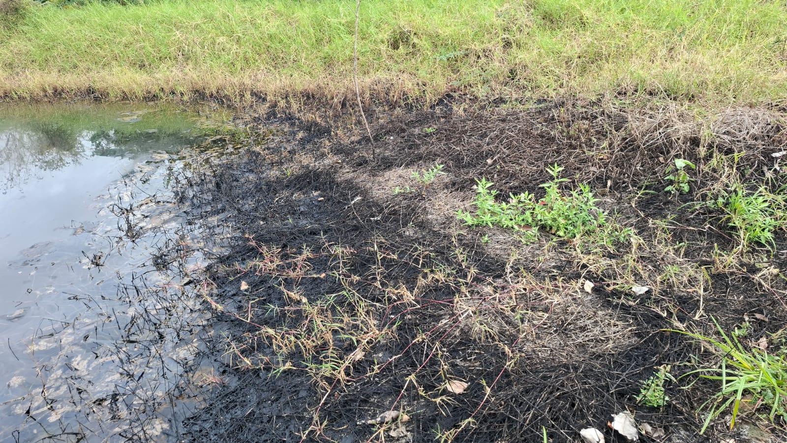 WhatsApp Image 2026-02-04 at 6.59.20 PM (1).jpeg