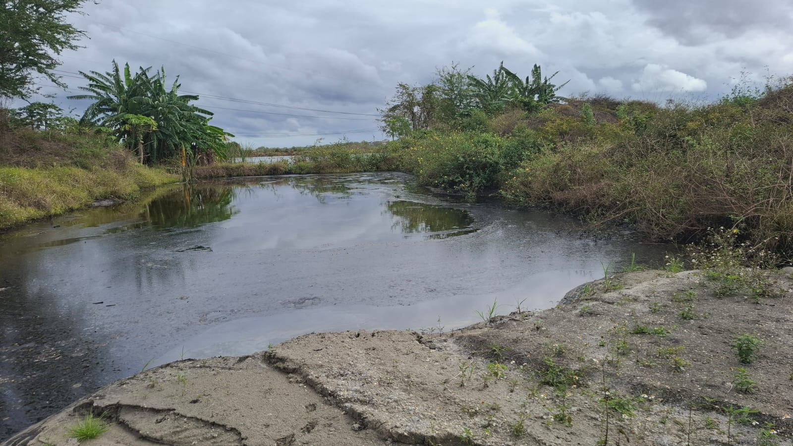 WhatsApp Image 2026-02-04 at 6.59.49 PM (1).jpeg