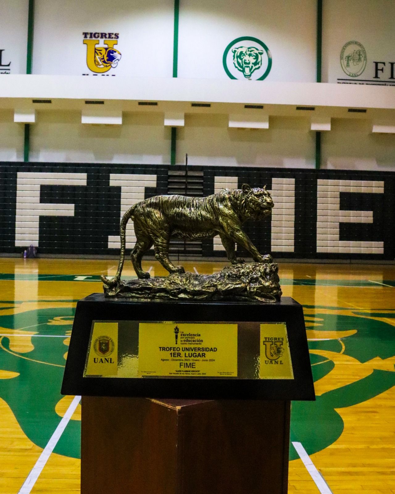 WhatsApp Image 2026-02-05 at 12.53.43 AM.jpeg