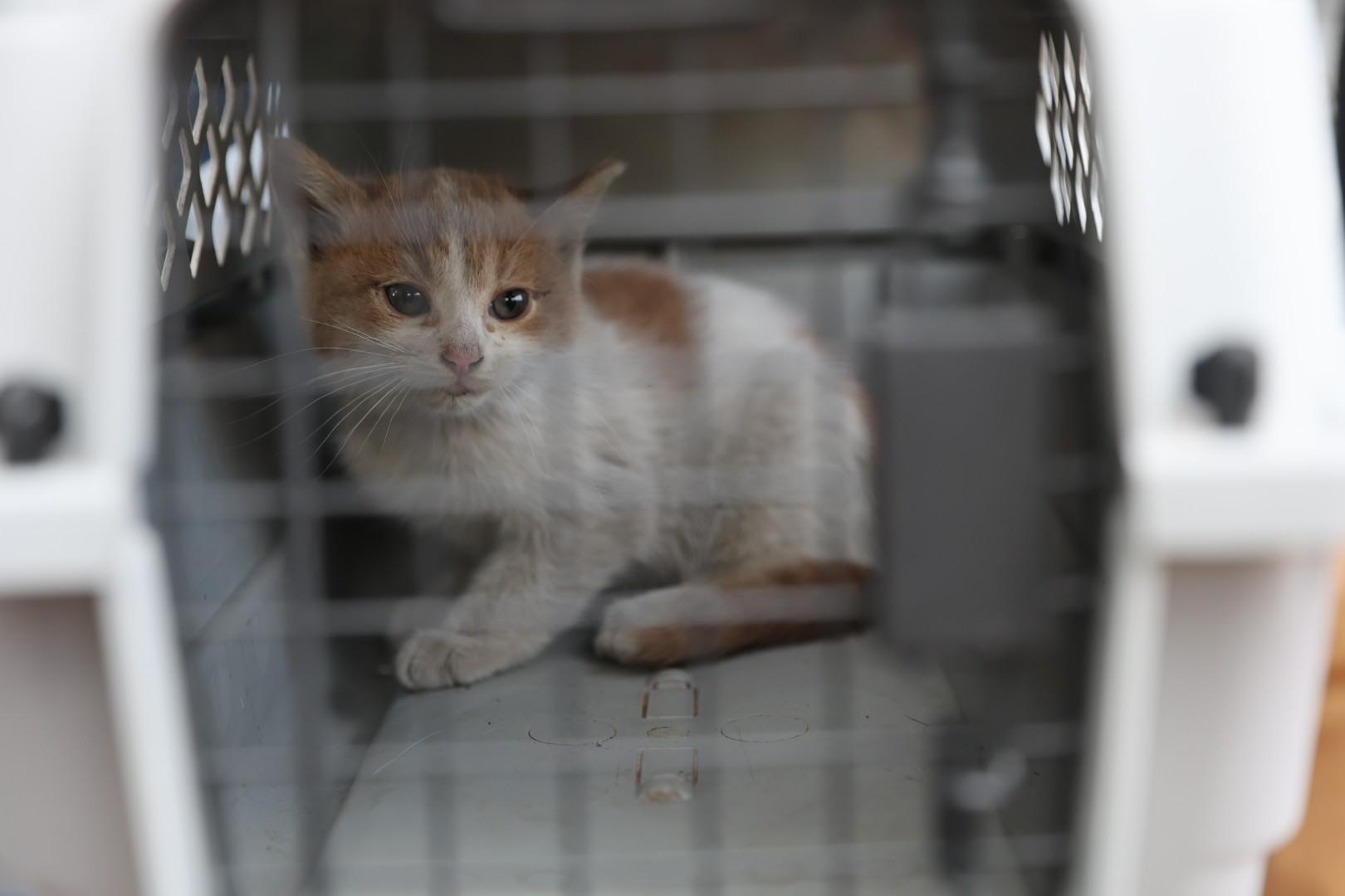 WhatsApp Image 2026-02-05 at 2.08.30 PM (1).jpeg