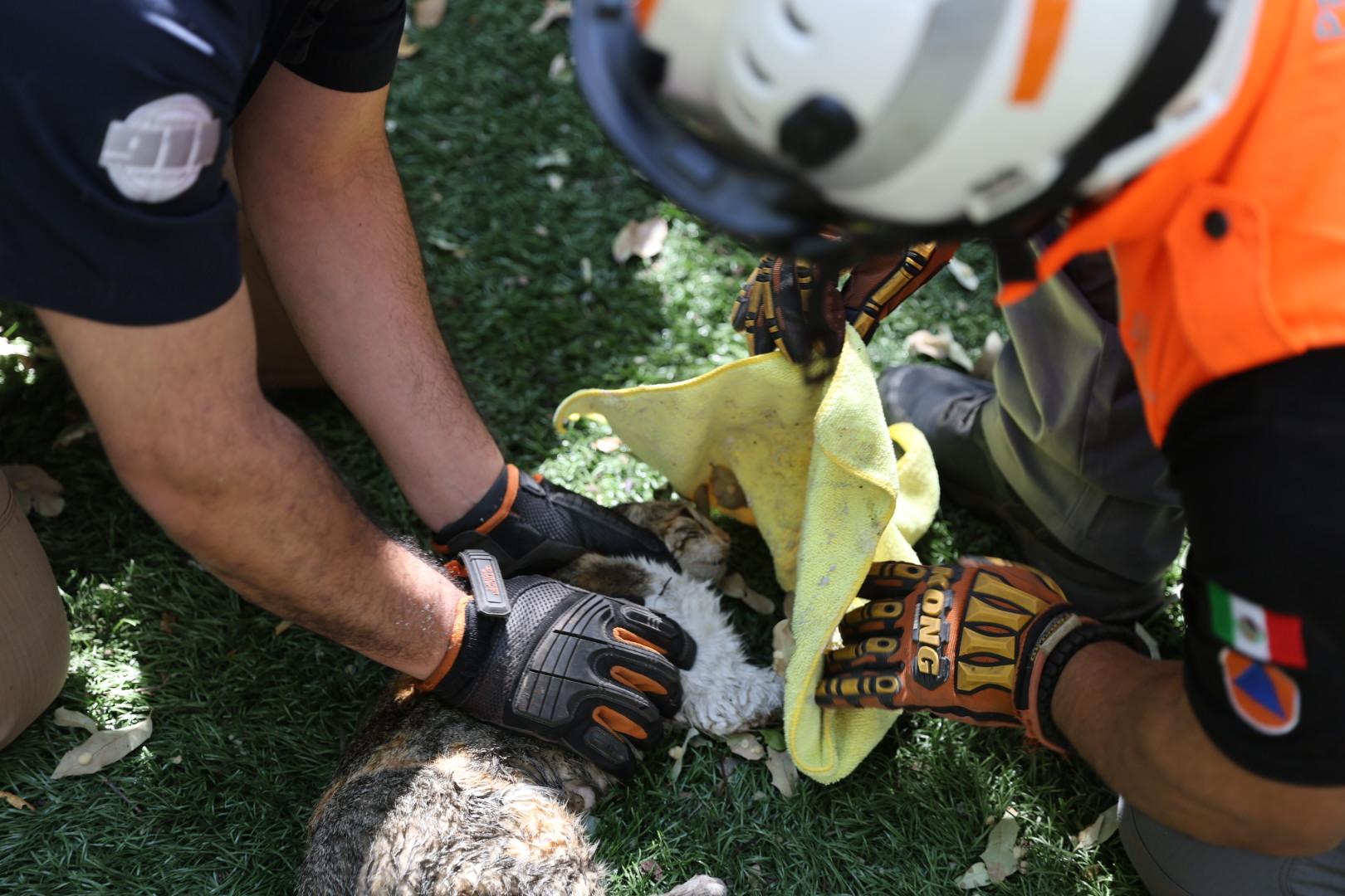 WhatsApp Image 2026-02-05 at 2.08.31 PM.jpeg