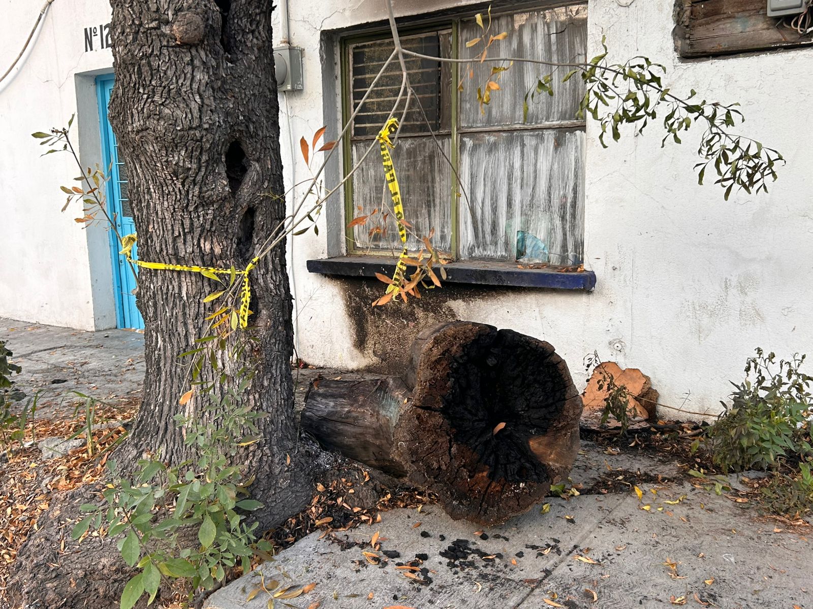 WhatsApp Image 2026-02-07 at 9.16.39 AM (1).jpeg