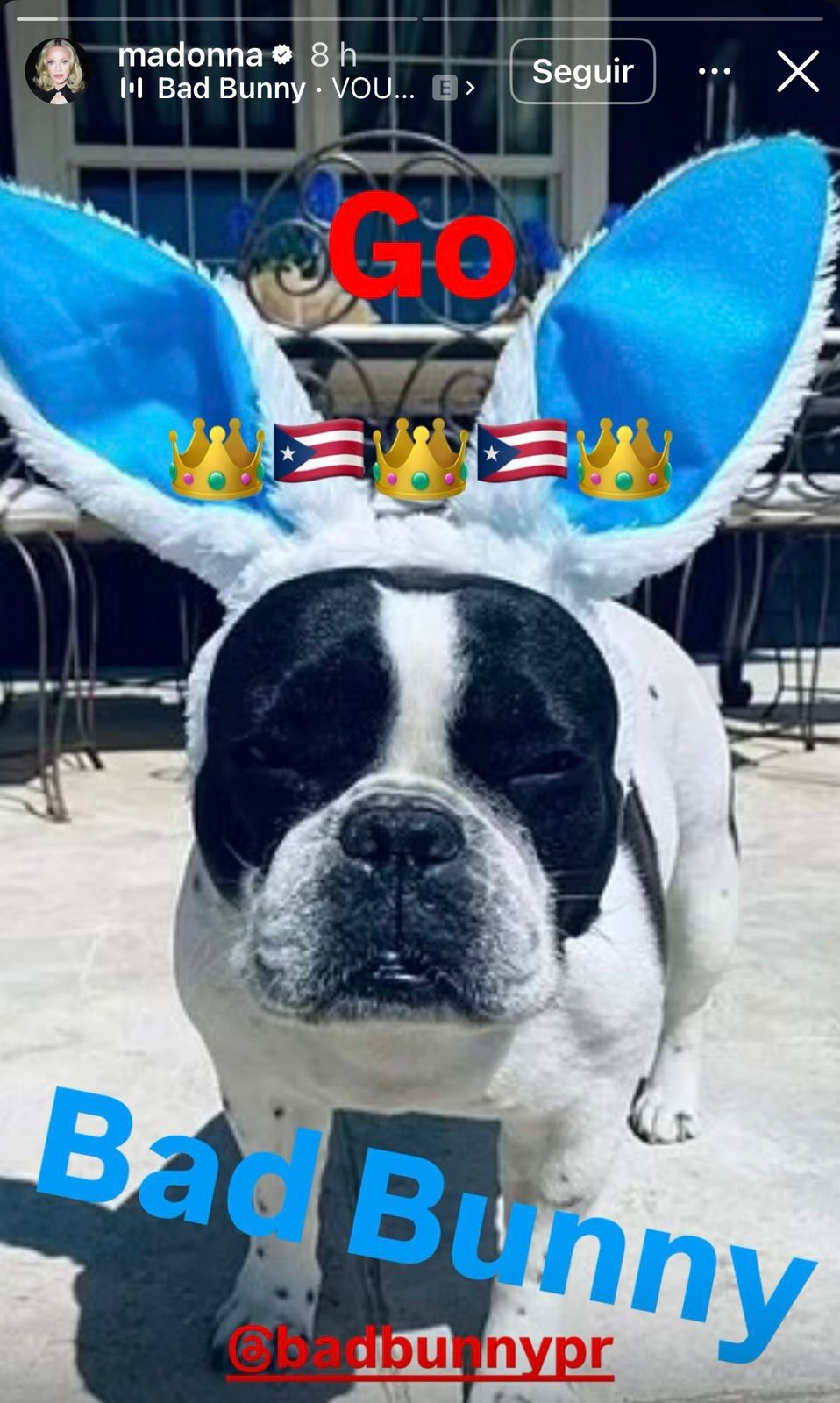 WhatsApp Image 2026-02-08 at 7.04.49 PM.jpeg