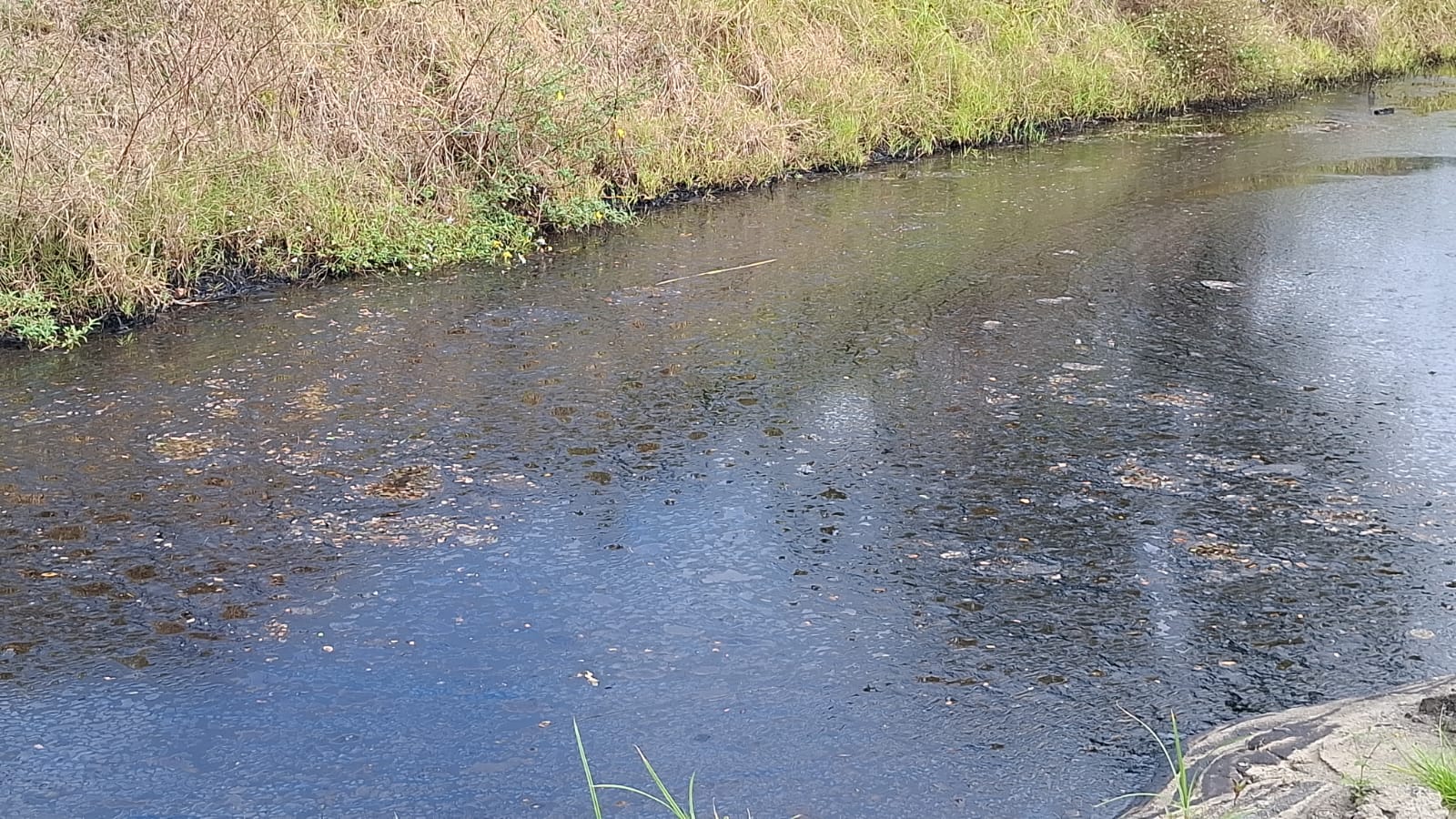 WhatsApp Image 2026-02-09 at 10.23.03 PM.jpeg